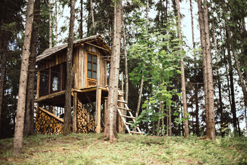 Diy small majestic wood house in forest. Big windows for watching forest animals.