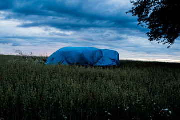 widok na przenice © Grzegorz