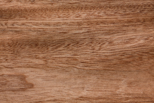 Superlative brown sapele veneer background for your project.