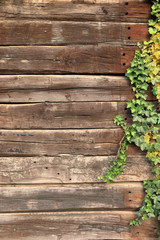 Hozwand, Hintergrund, Bohlen, Bretter