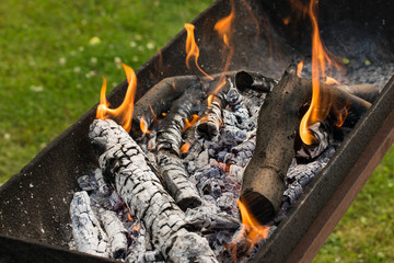 Burning woods and ash. Flame and fire sparks.