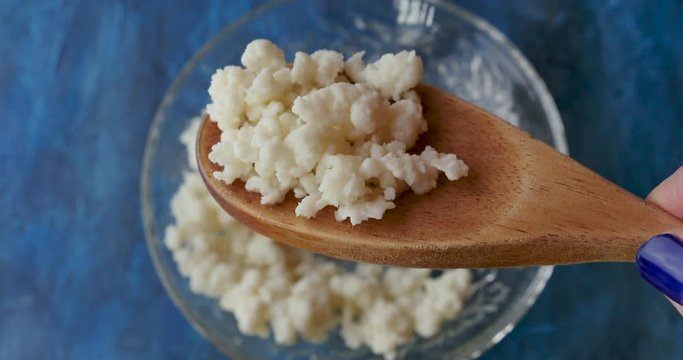 Hand raises a wooden spoon with kefir grains out of a glass bowl