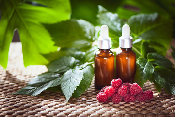 Bottles with raspberry oil, fresh berries and raspberry leaves on a natural green background