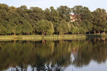 city pond in summer