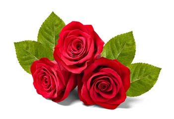Papier Peint photo Lavable Roses fleur pétale de rose fleur rouge nature beau fond