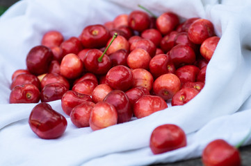 Fresh cherry on on a white blanket on a wooden bench background. fresh ripe cherries. sweet cherries