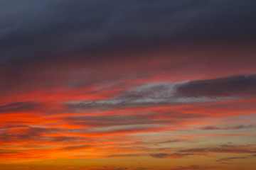 Sky. Sunset with beautiful, colorful clouds.Bright Blue, Orange And Yellow Colors . Looking up view. Close Up.
