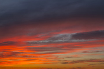 Fototapeta premium Sky. Sunset with beautiful, colorful clouds.Bright Blue, Orange And Yellow Colors . Looking up view. Close Up.