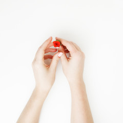 Small bouquet of red roses in a woman's hand with pink nail polish on a white background. Flat lay. Top view