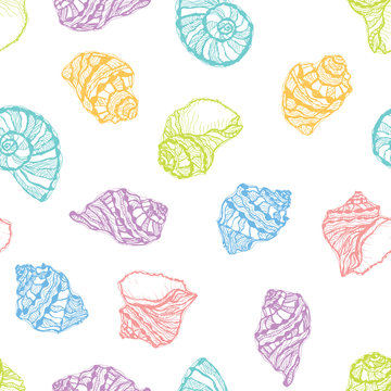 Vector seamless pattern from colorful seashell on white background. Hand drawn sketches mollusk sea shells.