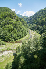 Fototapeta na wymiar Mountains covered in lush forests