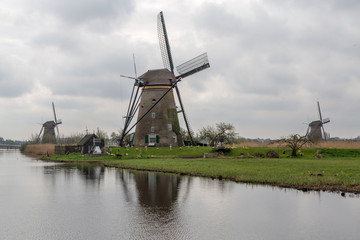 Naklejka premium Windmill Reflected in a Canal, Kinderdijk, Holland