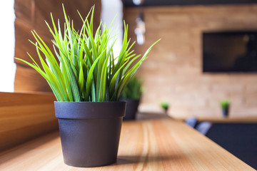 small pot with flower for decoration on the windowsill