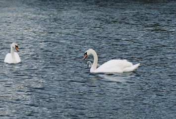 Summer of Helsinki, Finland