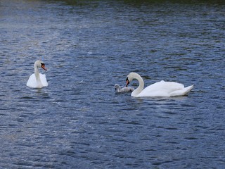 Summer of Helsinki, Finland