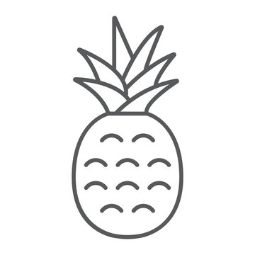 Pineapple thin line icon, fruit and ananas, tropical sign, vector graphics, a linear pattern on a white background, eps 10.