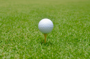 Golf ball on a tee 
