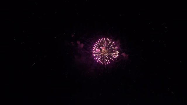 Beautiful festive multicolored fireworks inthe night sky.