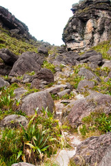 Fototapeta na wymiar Paso de las Lagrimas - Track on Roraima Tepui, La Gran Sabana, Venezuela