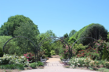 Triple Arches 