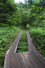 Obraz premium 上高地