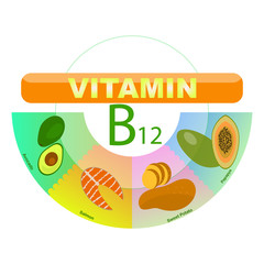 Infographic of vitamin B 12. Flat design object 