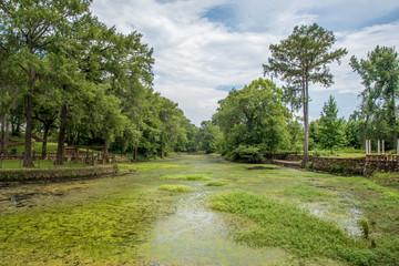 Radium Springs Natural Park 