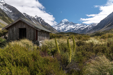 Fototapeta na wymiar Mount Cook/Aoraki from the Hooker River valley with a mountain hut and flowering golden speargrass in the foreground. Aoraki/Mount Cook National Park, New Zealand.