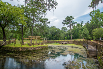 Obraz premium Radium Springs Natural Park 