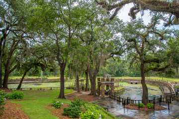 Radium Springs Natural Park 