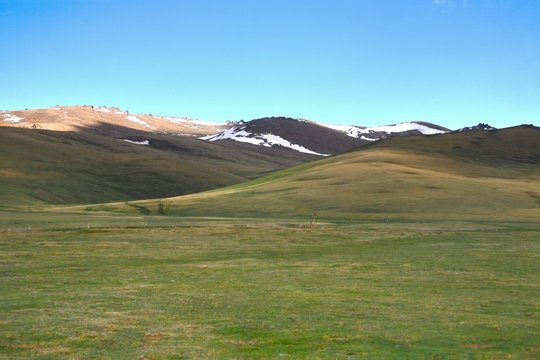 The large meadow  with blue sky at Ulaanbaatar , Mongolia