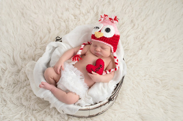 Newborn Baby Girl Wearing an Owl Hat