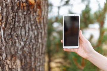 Close-up of hand holding phone on blurred, isolated place for text