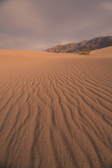 California Dunes