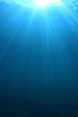 Fototapeta na wymiar Abstract blue underwater background 