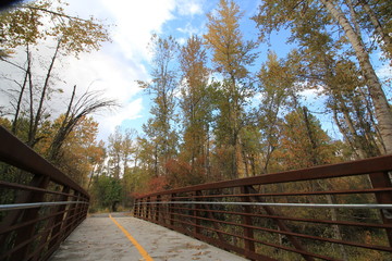 Fototapeta premium Fence