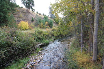 Fototapeta na wymiar Montana Creek