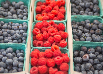 Berry Baskets