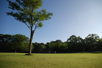 公園