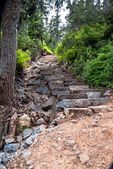 Rock Stair Steps on a Forest Trail at The Mountain. Locatad  on Black Mountain on the Сypress Provincial Park Vancouver Canada