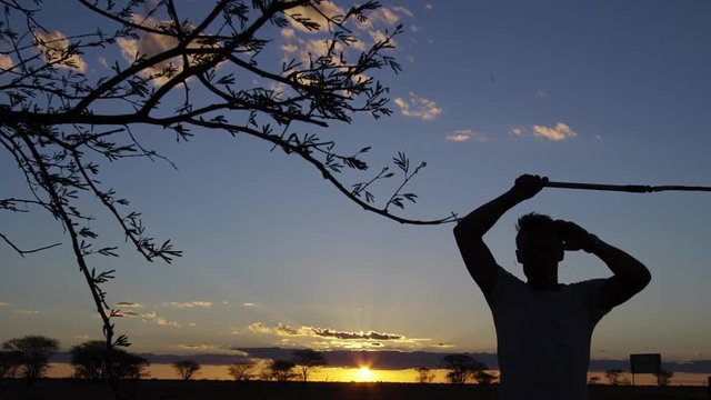 A medium shot of a silhouetted man whipping his whip on the tree's leaves in slow motion.