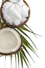 Coconut oil.pure  natural coconut oil  in a wooden round bowl, half fresh coconut and a palm leaf isolated on a white background. 