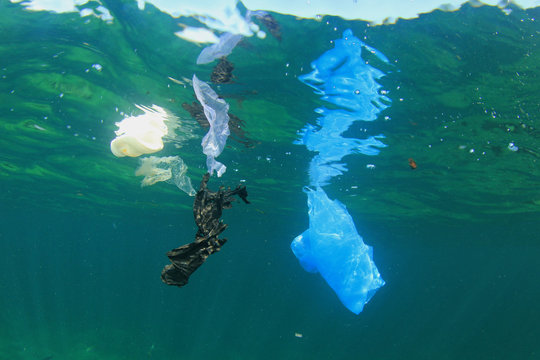 Plastic bags pollution in ocean. Underwater photo of plastic    