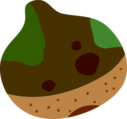 Rotten chestnut illustration