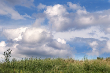 Fototapeta premium Beautiful clouds on background green grass and blue sky.