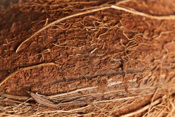 Detail of a coconut texture skin, macro shot