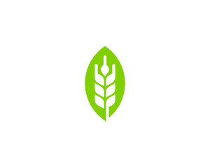 Wheat Leaf Logo Icon Design Element