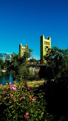 Water, cityscape and landscape: Tower Bridge