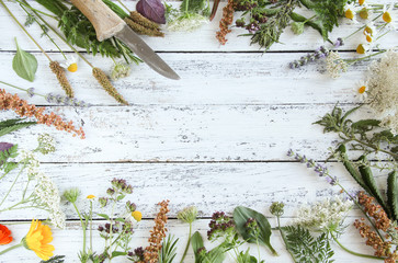 Wildkräuter Wild Kräuter Gartenkräuter Brett Tisch verschiedene Gewürze Wilde essbare Blüten...