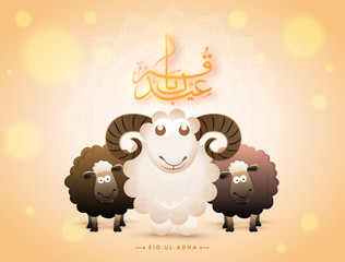 Arabic calligraphy text Eid-Ul-Adha with black and white sheeps on bokeh background for Muslim community festival of sacrifice.